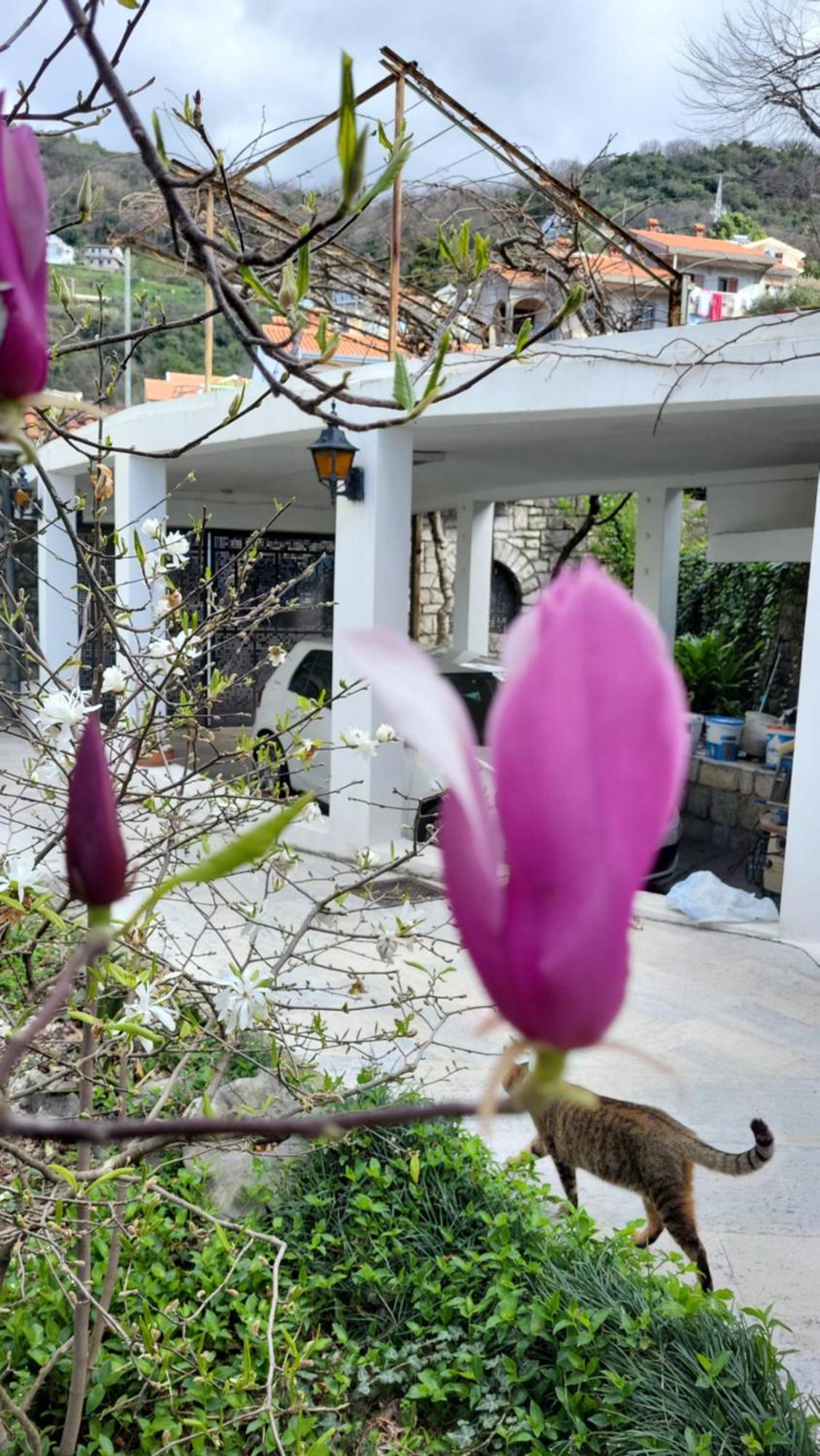 Studio Apartman Sa Pogledom Na More ميلغين المظهر الخارجي الصورة