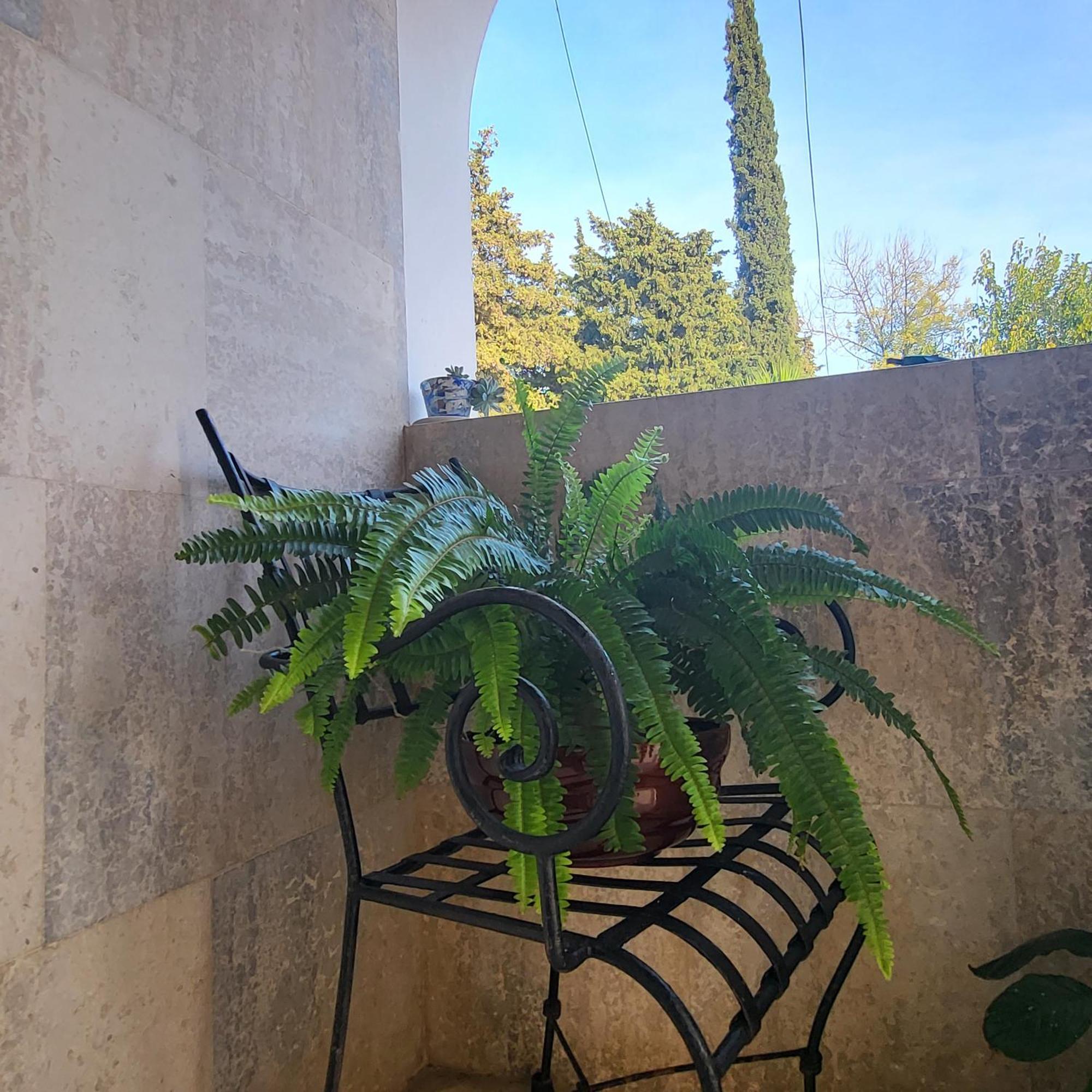 Studio Apartman Sa Pogledom Na More ميلغين المظهر الخارجي الصورة