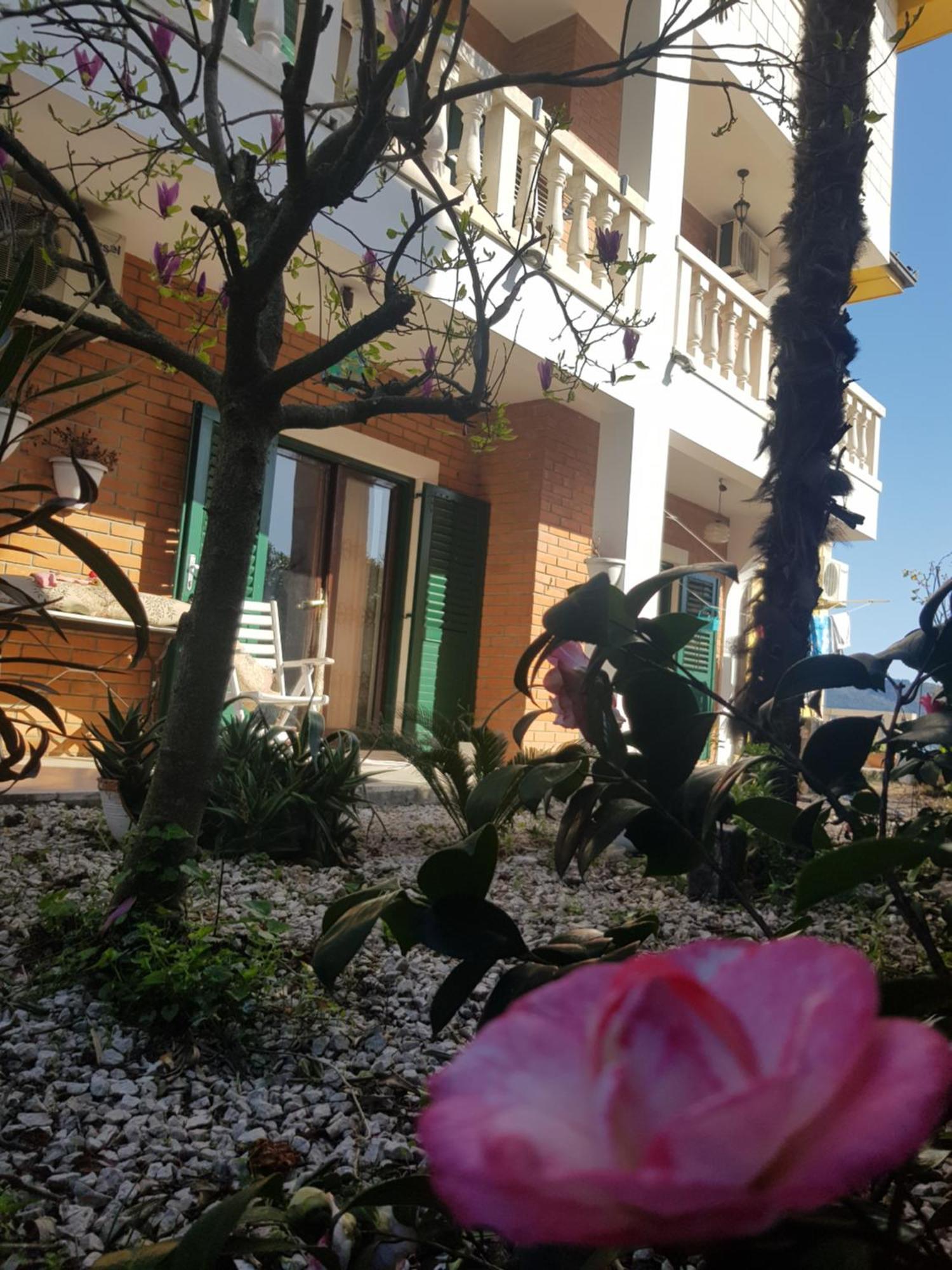 Studio Apartman Sa Pogledom Na More ميلغين المظهر الخارجي الصورة