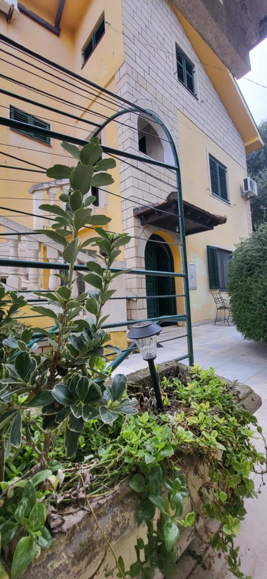 Studio Apartman Sa Pogledom Na More ميلغين المظهر الخارجي الصورة